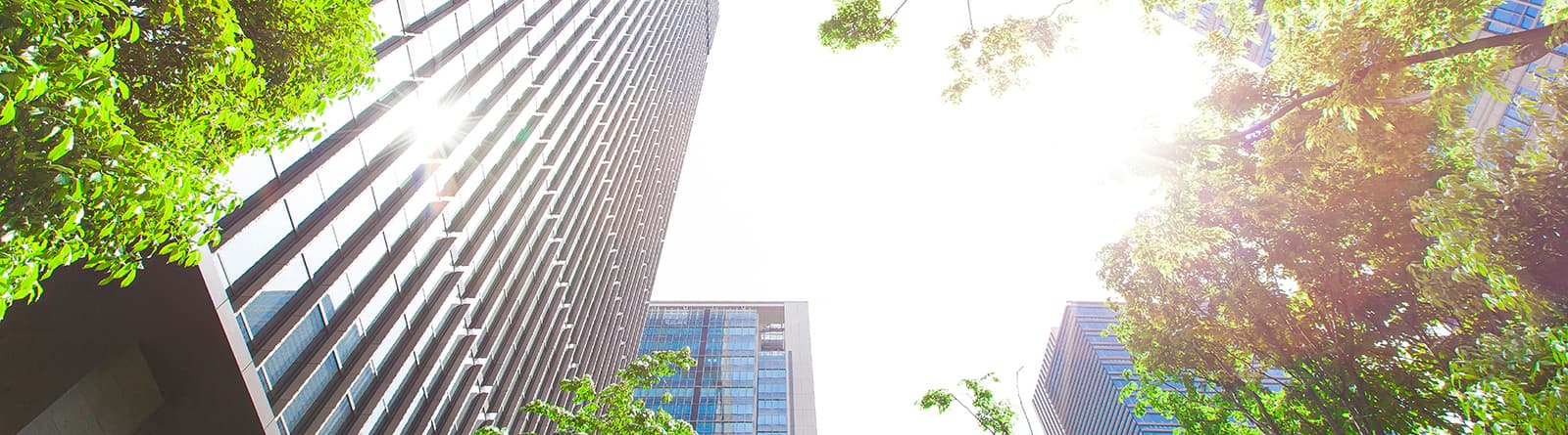 Professional financial guidance